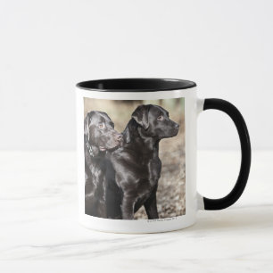 Taza Dos labradores retrieveres negros