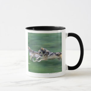 Taza Dos lobos en prado de la montaña