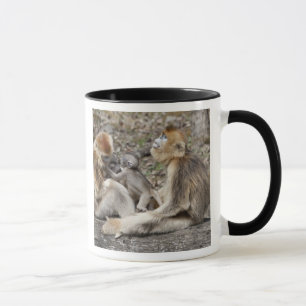 Taza Dos monas doradas hembras con recién nacidos