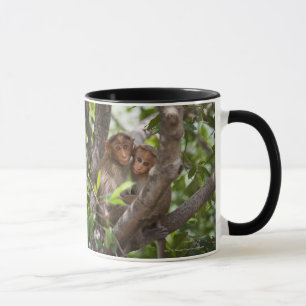 Taza Dos monos en un árbol