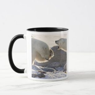 Taza Dos osos polares