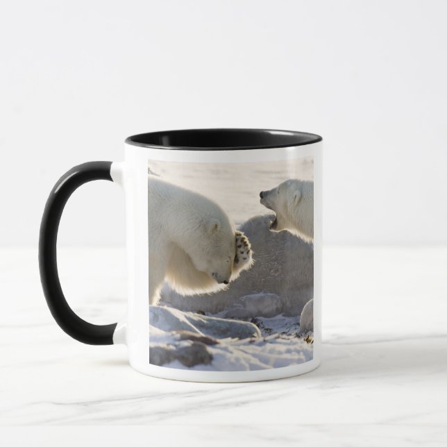 Taza Dos osos polares (Izquierda)
