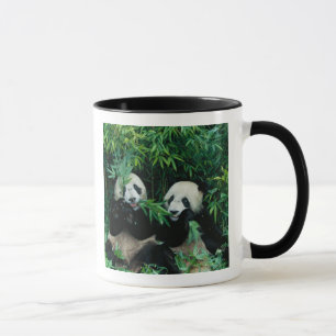 Taza Dos pandas comiendo bambú juntos, Wolong