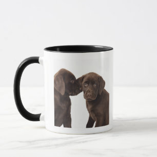 Taza Dos perritos del labrador retriever del chocolate