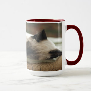 Taza Dos siameses somnolientos