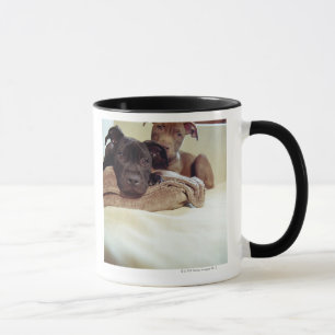 Taza Dos terrieres de pitbull que se sientan dentro,