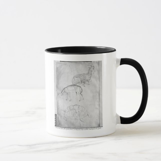 Taza Dos tortugas, cabras y ovejas (Derecha)