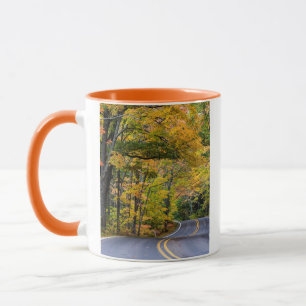 Taza Doscientosel Canopy De Color A Lo Largo De La Carr