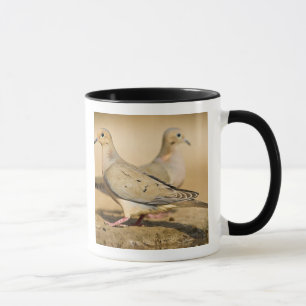 Taza Dove de duelo