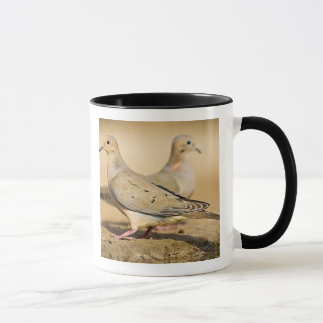 Taza Dove de duelo (Derecha)