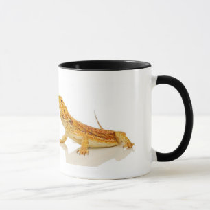 Taza Dragón barbudo