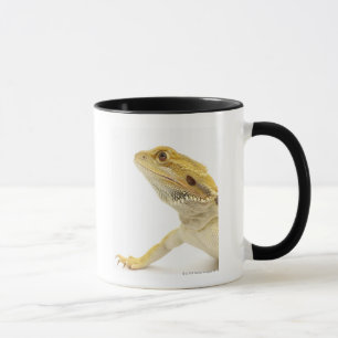 Taza Dragón barbudo (Pogona Vitticeps)