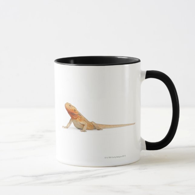 Taza Dragón barbudo scaleless de SilkBacks - Pogona (Derecha)