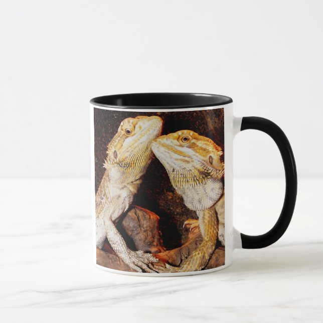 Taza Dragones barbudos (Derecha)
