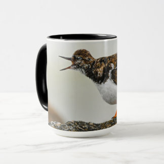 Taza Dramática y deslumbrante foto de Ruddy Turnstone G