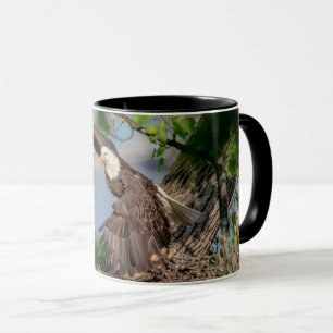 Taza Eagle calvo que sale de la jerarquía