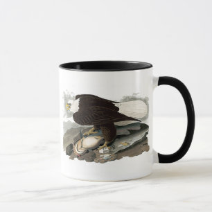 Taza Eagle de cabeza blanca el John James Audubon
