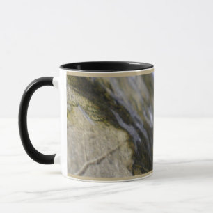 Taza Eclipse