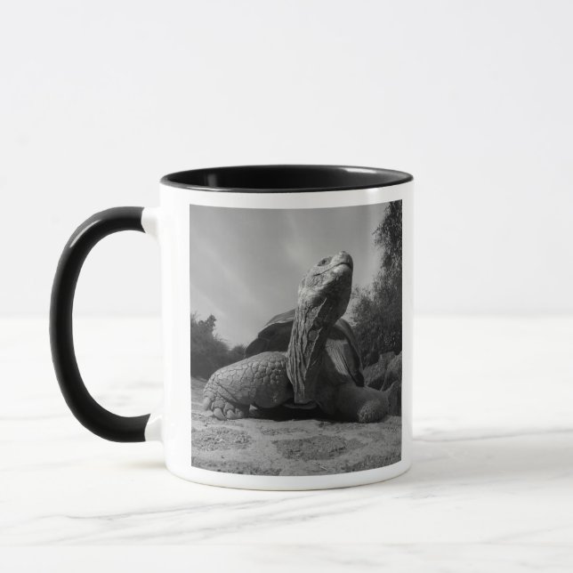 Taza Ecuador, Parque Nacional Islas Galápagos, Santa (Izquierda)