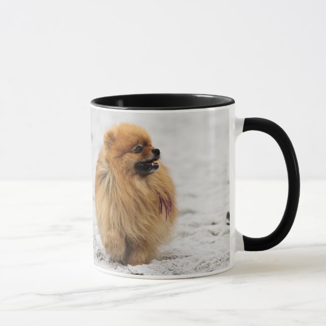 Taza Edgrrrr #3 - Pomeranian (Derecha)