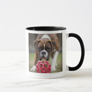 Taza Edmonton Alberta Canadá