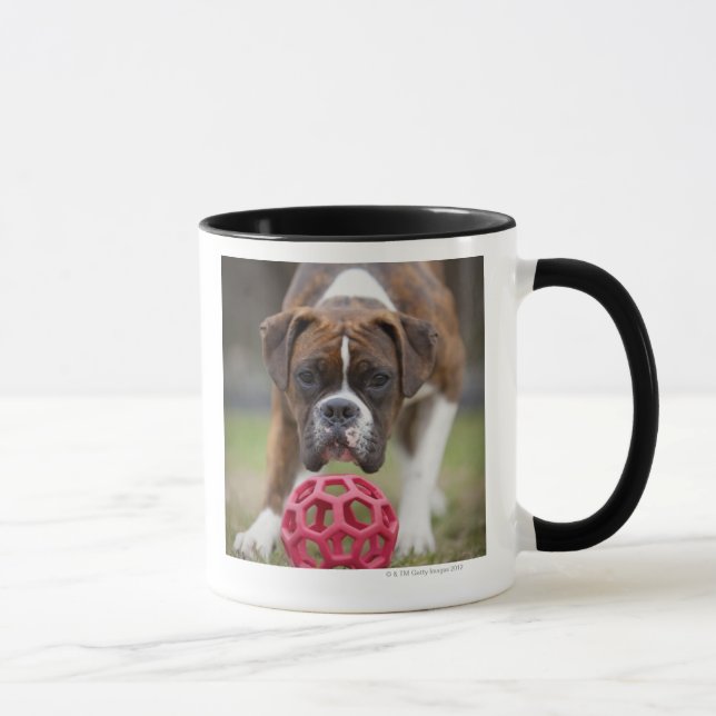 Taza Edmonton Alberta Canadá (Derecha)