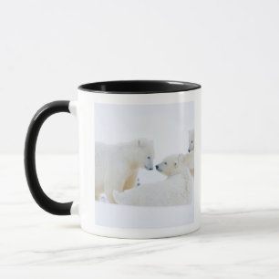 Taza EE. UU., Alaska, 1002 Llanura costera del Ártico