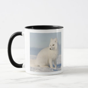 Taza EE. UU., Alaska, 1002 Llanura costera del Refugio