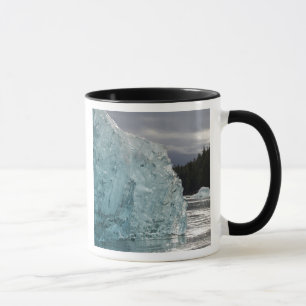 Taza EE.UU., Alaska, Bosque Nacional Tongass, Tracy 2