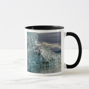 Taza EE.UU., Alaska, Bosque Nacional Tongass, Tracy 3