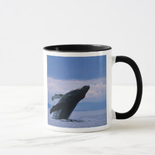 Taza EE. UU., Alaska, Bosque Nacional Tongass, Yubarta