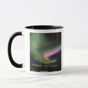 Taza EE.UU., Alaska, Chena Hot Springs. Aurora 2