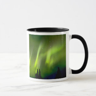 Taza EE.UU., Alaska, Chena Hot Springs. Aurora 3