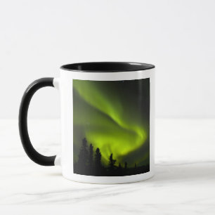 Taza EE.UU., Alaska, Chena Hot Springs. Aurora Boreal 2