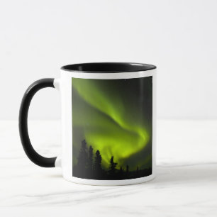 Taza EE. UU., Alaska, Chena Hot Springs. Aurora Boreali