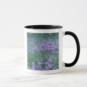 Taza EE. UU., Alaska, Hillberg Lake Wilderness Salvaje