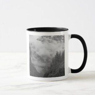 Taza EE. UU., Alaska, Juneau, La selva tropical cubre f