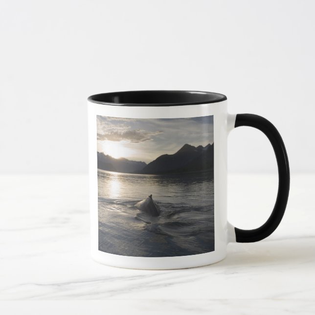 Taza EE. UU., Alaska, Parque Nacional Glacier Bay, (Derecha)