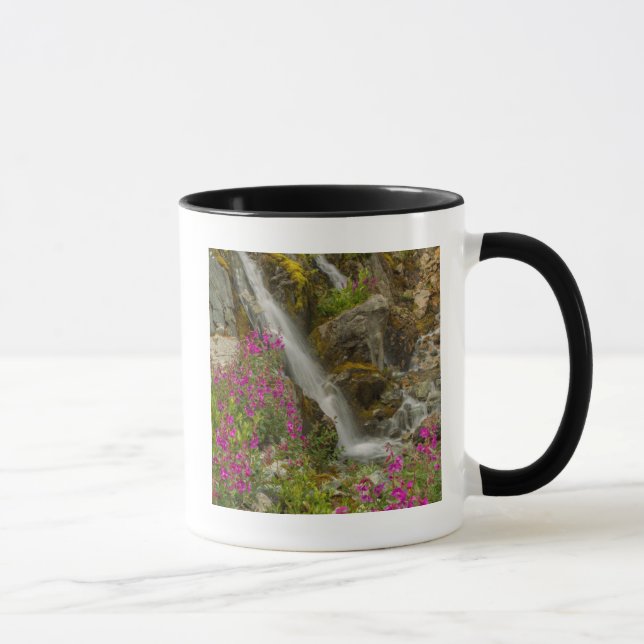 Taza EE. UU., Alaska, Parque Nacional Glacier Bay. Fire (Derecha)