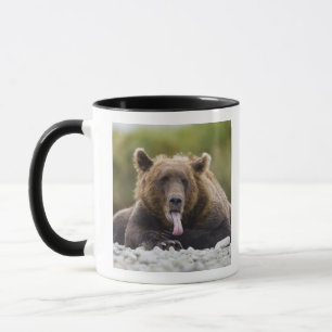 Taza EE.UU., Alaska, Parque Nacional Katmai, Bahía Kuka