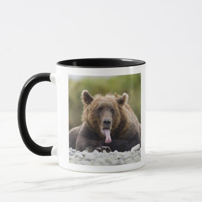 Taza EE.UU., Alaska, Parque Nacional Katmai, Bahía Kuka (Izquierda)