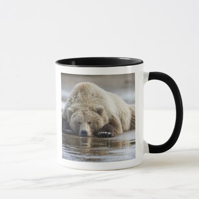 Taza EE.UU., Alaska, Parque Nacional Katmai, oso marrón (Derecha)