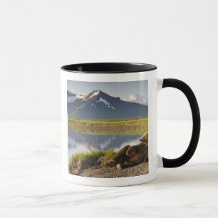 Taza EE. UU., Alaska, Parque Nacional Katmai, Osos pard