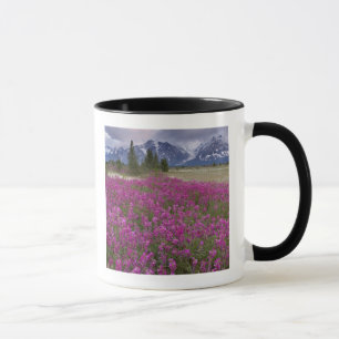 Taza EE. UU., Alaska, Valle del río Alsek. Vista de