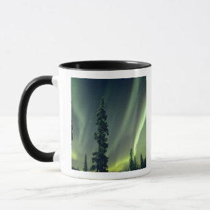 Taza EE. UU., área de Fairbanks, Alaska central, Aurora