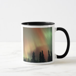 Taza EE. UU., área de Fairbanks, Alaska central, Aurora