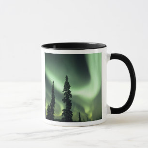 Taza EE. UU., área de Fairbanks, Alaska central, Aurora