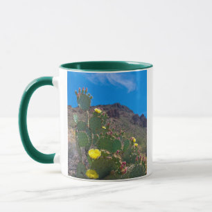 Taza EE. UU., Arizona. Cactus en las colinas