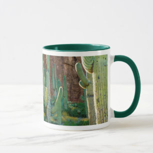 Taza EE. UU., Arizona. Campo de cactus saguaro junto a 