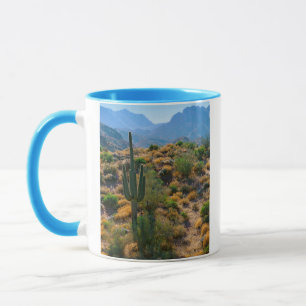 Taza EE. UU., Arizona. Vista del desierto